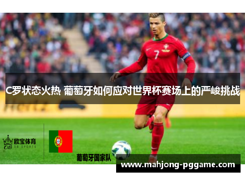 C罗状态火热 葡萄牙如何应对世界杯赛场上的严峻挑战