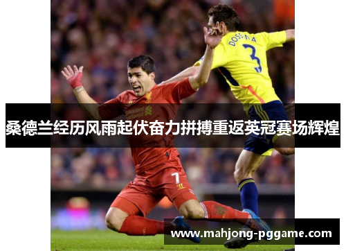 桑德兰经历风雨起伏奋力拼搏重返英冠赛场辉煌 桑德兰经历风雨起伏奋力拼搏重返英冠赛场辉煌