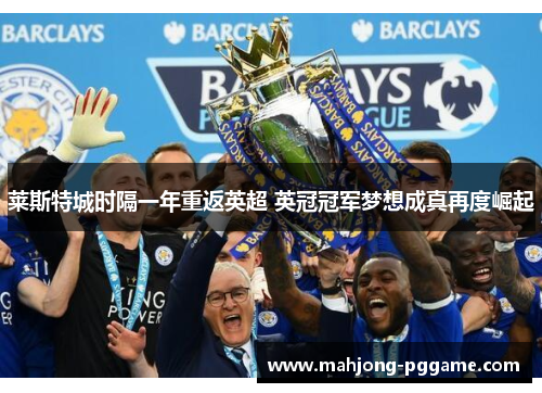 莱斯特城时隔一年重返英超 英冠冠军梦想成真再度崛起 莱斯特城时隔一年重返英超 英冠冠军梦想成真再度崛起