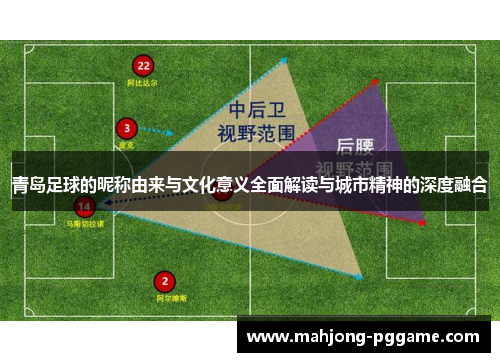 青岛足球的昵称由来与文化意义全面解读与城市精神的深度融合